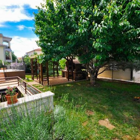 Ana M Apartments Novigrad Istria Dış mekan fotoğraf