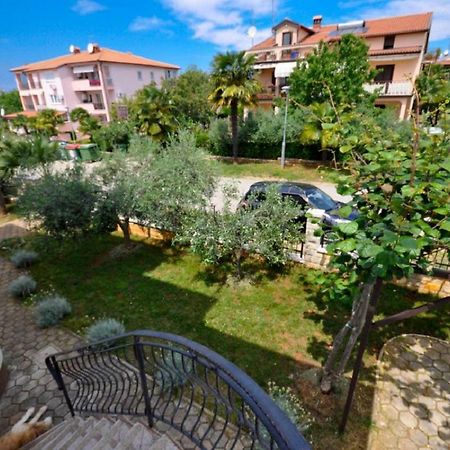 Ana M Apartments Novigrad Istria Dış mekan fotoğraf