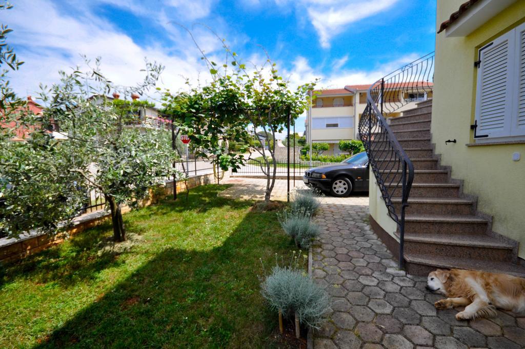 Ana M Apartments Novigrad Istria Dış mekan fotoğraf