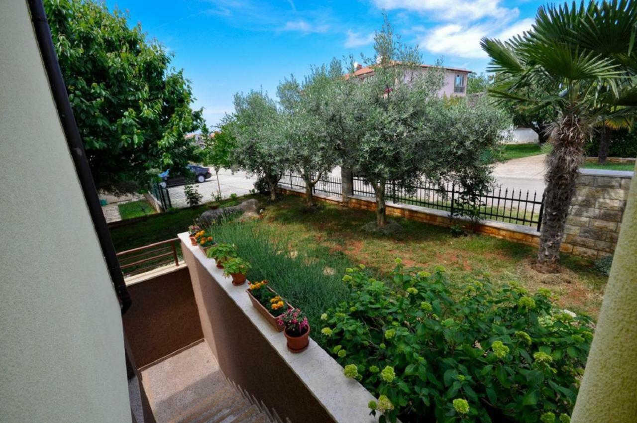 Ana M Apartments Novigrad Istria Dış mekan fotoğraf